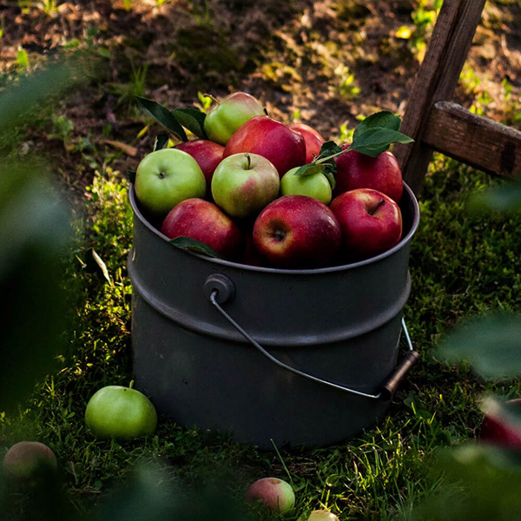 果汁品牌視覺設計 果汁品牌視覺設計